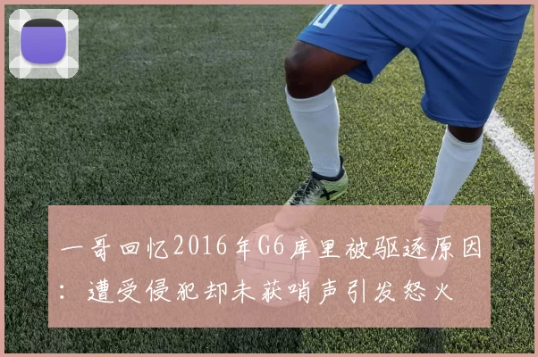 一哥回忆2016年G6库里被驱逐原因：遭受侵犯却未获哨声引发怒火